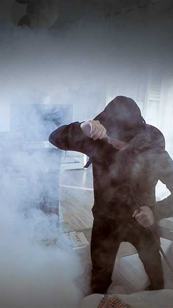 ZeroVision tågesikring ZeroVision tågesikring udløst