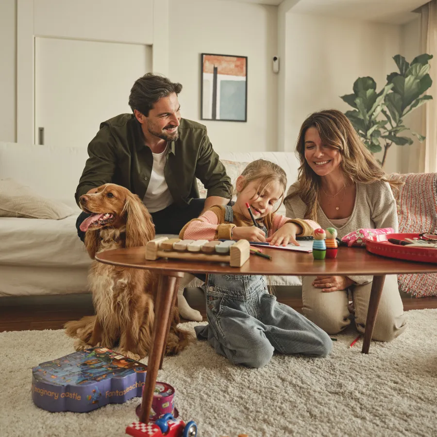 Få ekstra tryghed med en tyverialarm